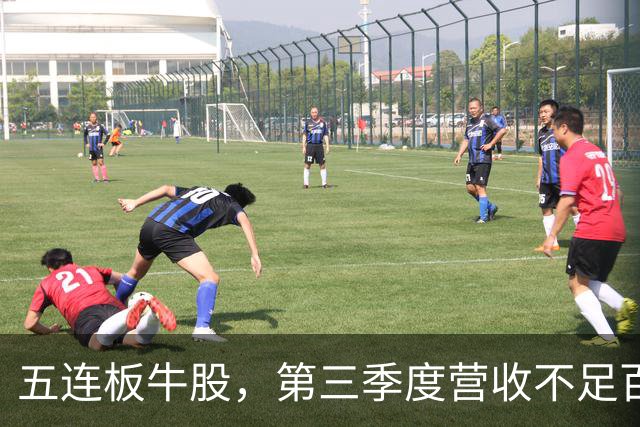 五连板牛股，第三季度营收不足百万，跌停开盘