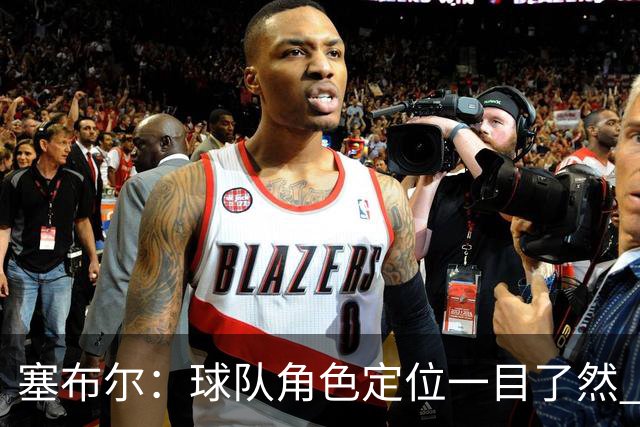 塞布尔：球队角色定位一目了然 球队体系帮助我们发挥长处