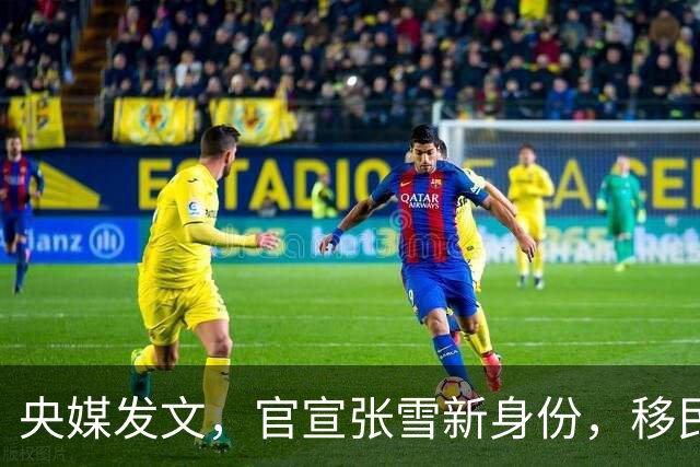 央媒发文，官宣张雪新身份，移民跑路、资产转移海外早就真相大白