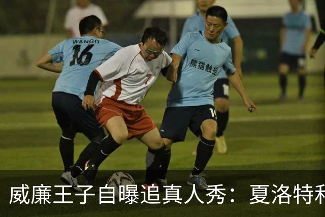 威廉王子自曝追真人秀：夏洛特和路易迷到不行