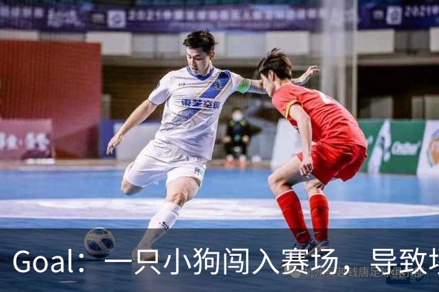 Goal：一只小狗闯入赛场，导致埃及联赛中断